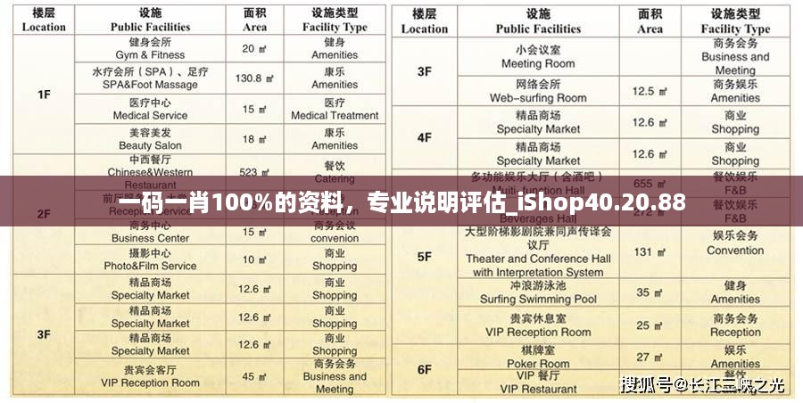 一码一肖100%的资料,专业说明评估_iShop40.20.88