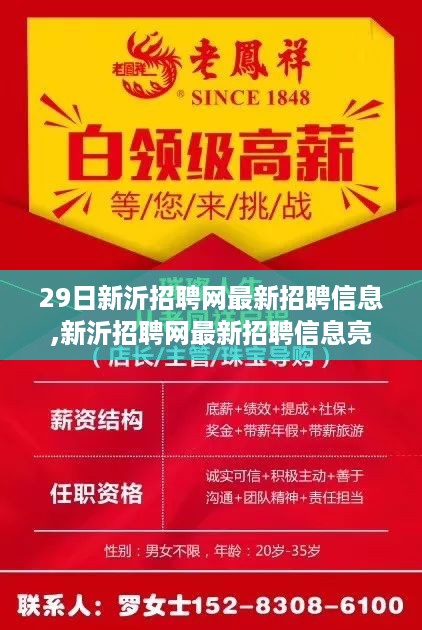 admin 第48页