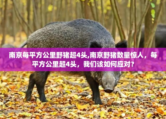 沉默的风 第47页