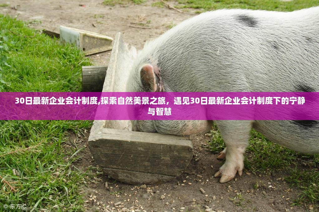 admin 第45页