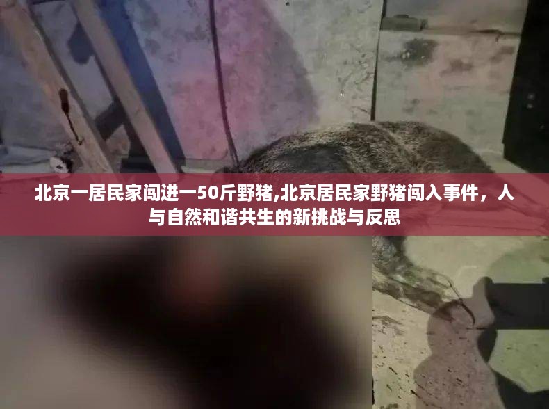橘虞初梦 第43页