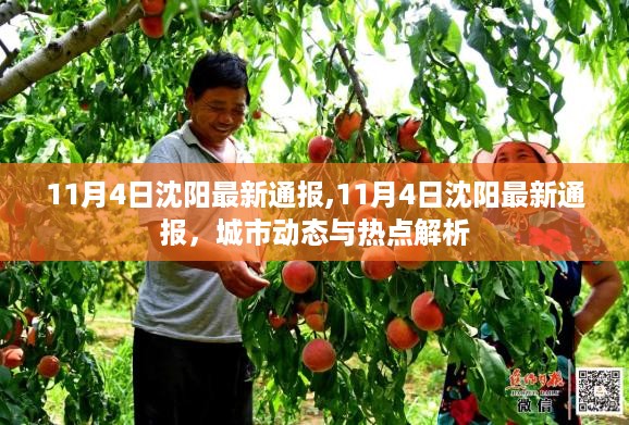 沉默的海 第25页