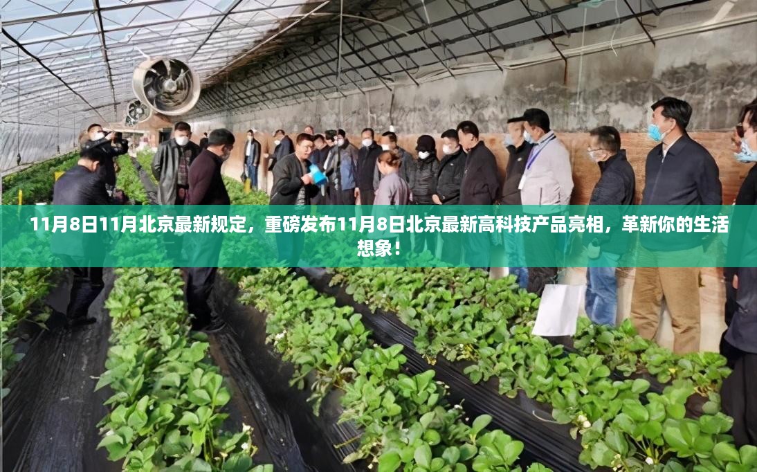 沉默的海 第19页
