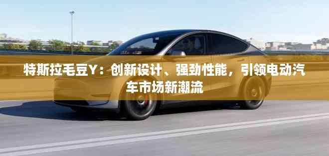 特斯拉毛豆Y:创新设计、强劲性能,引领电动汽车市场新潮流