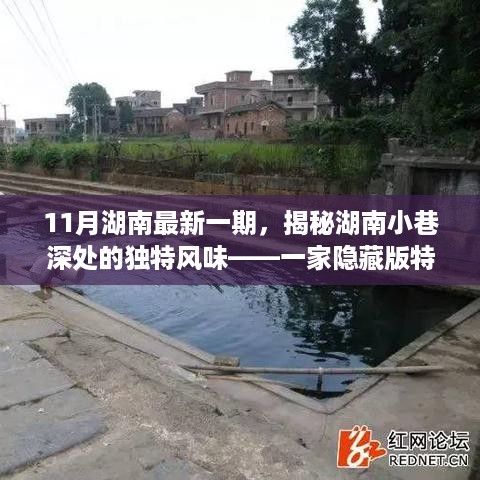 滔滔不绝 第11页
