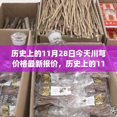 沉默的风 第10页