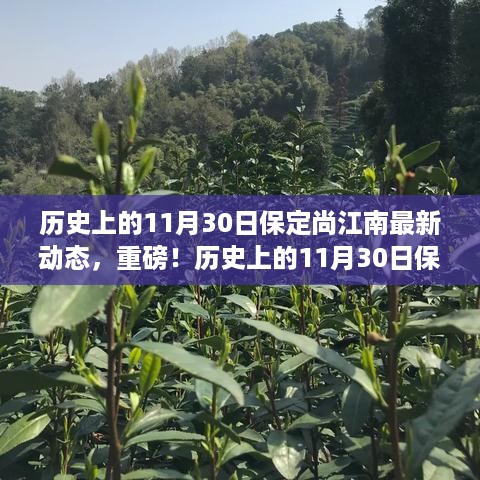 manbujingxin 第9页