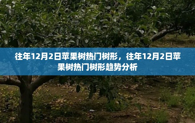 feihuangwuhu 第9页
