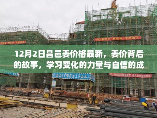 zaobitouguang 第9页