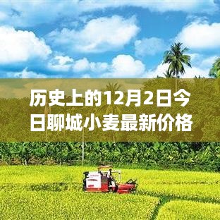 yaowuyinxin 第9页