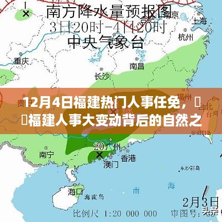 dongzhangxiwang 第8页