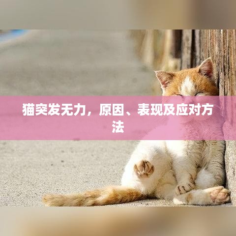 张口结舌 第3页