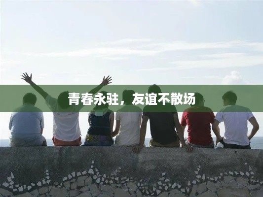 法不阿贵 第3页