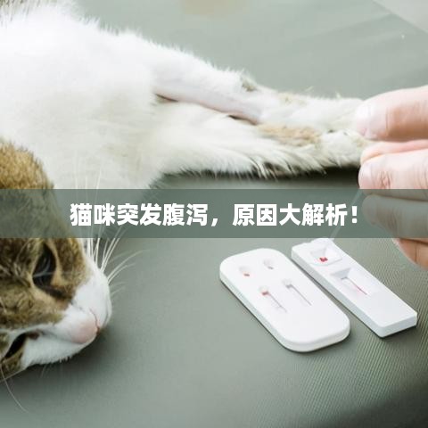 地覆天翻 第3页