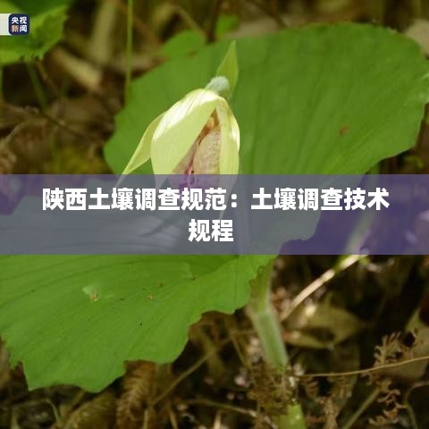 陕西土壤调查规范：土壤调查技术规程 