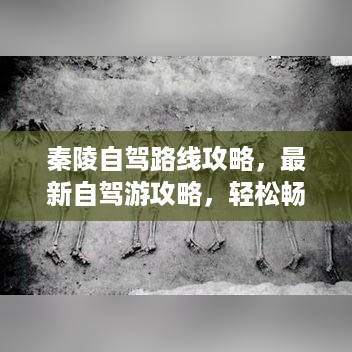 出就外傅 第3页