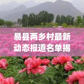 qishangbaxia 第3页