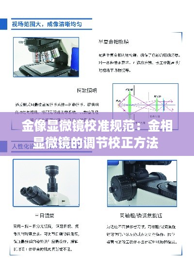 井底之蛙 第3页