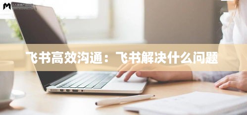 坌鸟先飞 第4页