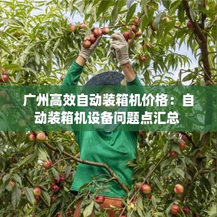还淳反素 第3页