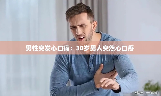 生张熟魏 第3页