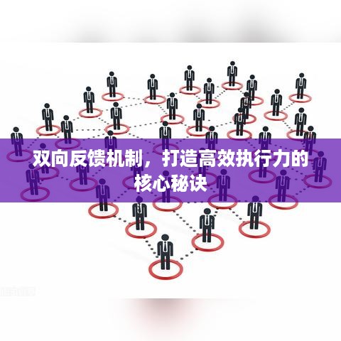 飞鸟惊蛇 第2页