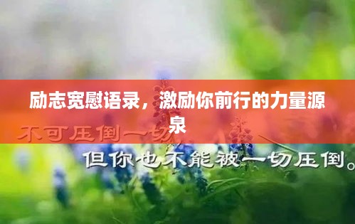风流倜傥 第3页