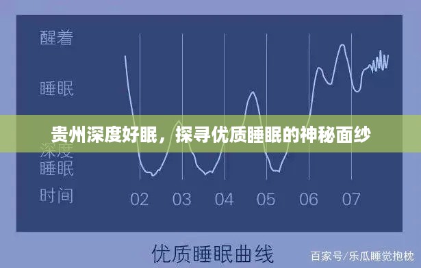 飞箭如蝗 第2页