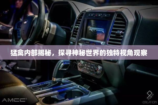 夜以继日 第2页
