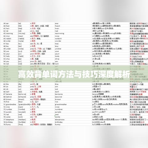鸡飞狗跳 第3页