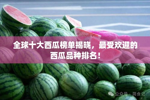 听见风就是雨 第2页