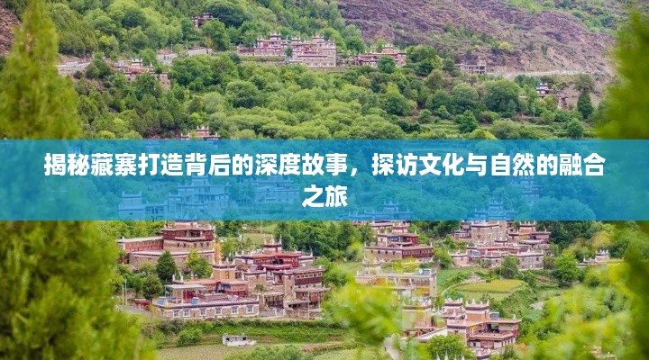 司空见惯 第2页