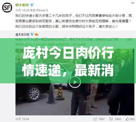 云屯鸟散 第2页