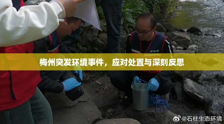张皇失措 第2页