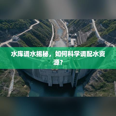 百鸟归巢
