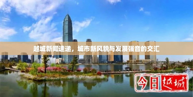 存证 第14页