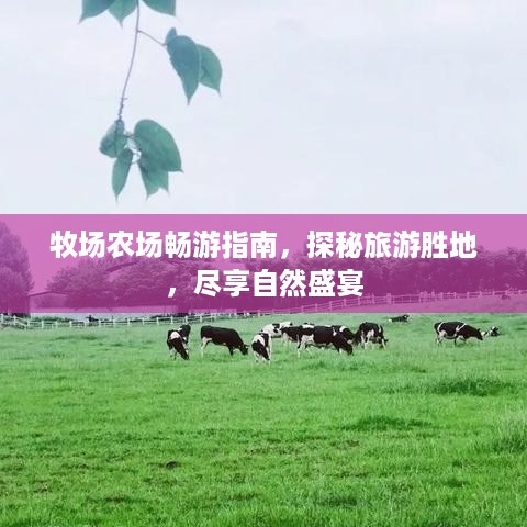 公证管理 第14页