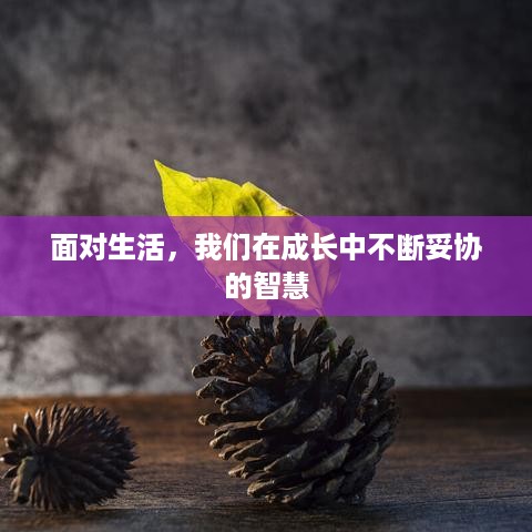 千里迢迢 第2页