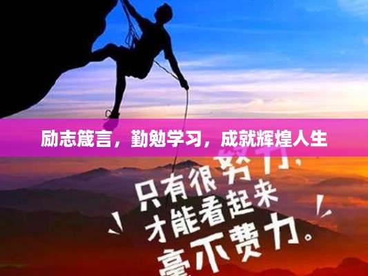 林下风气 第2页
